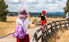 巜生殖按摩1995在线播放